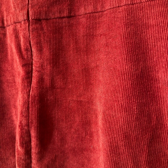 Banana Republic Burnt Orange Corduroy Mini Dress - Picture 5 of 6